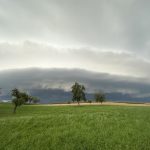 26.08.2023 Sturmschäden image-dsqz-3